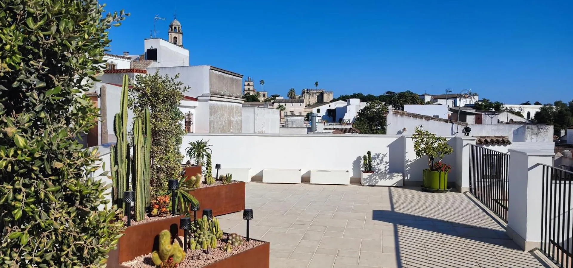 Palacio El Duende Old Town Parking Gratis Terraza Vista Catedral Alcazar Jerez de la Frontera Appartamento