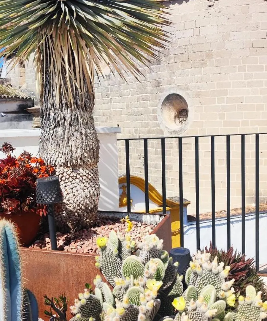 아파트 Palacio El Duende Old Town Parking Gratis Terraza Vista Catedral Alcazar 헤레스 스페인