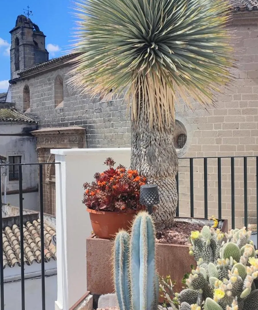Palacio El Duende Old Town Parking Gratis Terraza Vista Catedral Alcazar Jerez de la Frontera